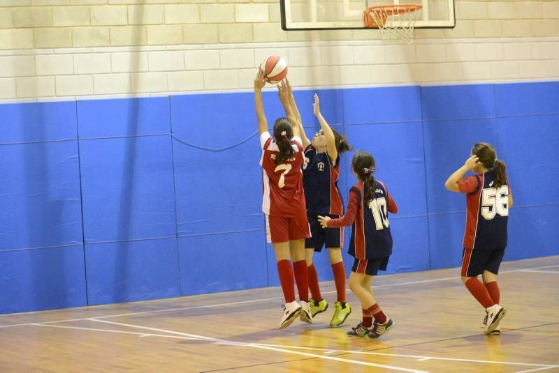 DÍA DEL MINIBASKET. Partidos de las 10:30 horas