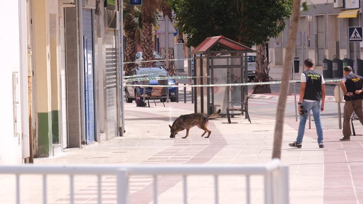 Los perros de la Guardia Civil no han detectado nada sospechoso.