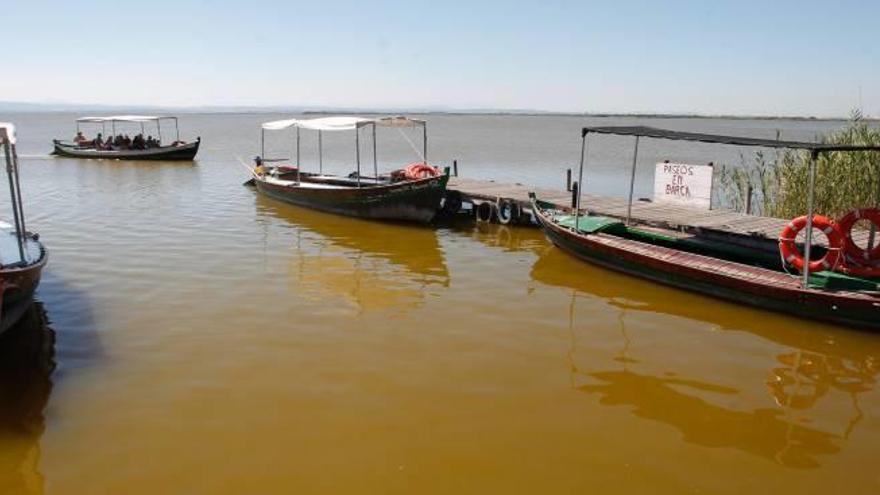 Una nueva vida para la flora acuática de l&#039;Albufera