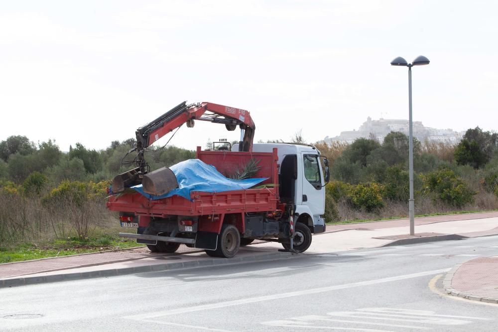 Temporal en Ibiza y Formentera