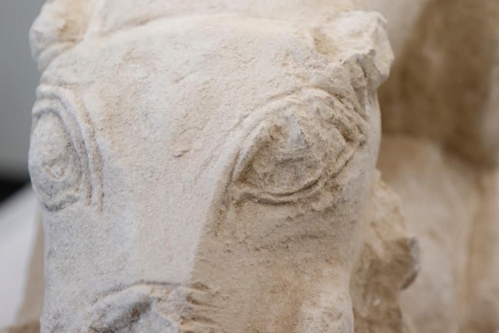 La leona íbera de La Rambla, a estudio en el Arqueológico de Córdoba
