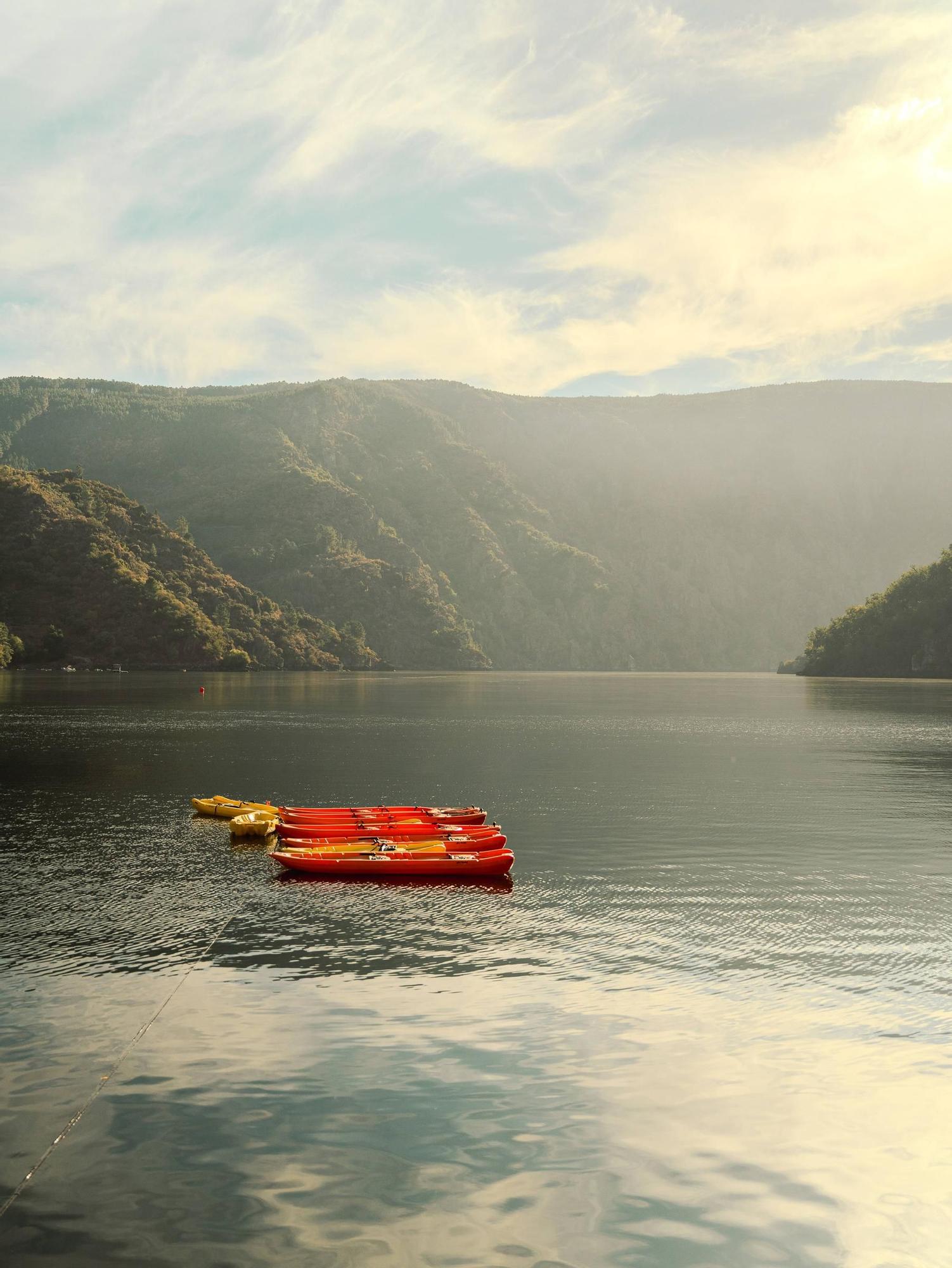 Las condiciones climáticas y geográficas hacen de este lugar una zona idónea para el cultivo de viñedos