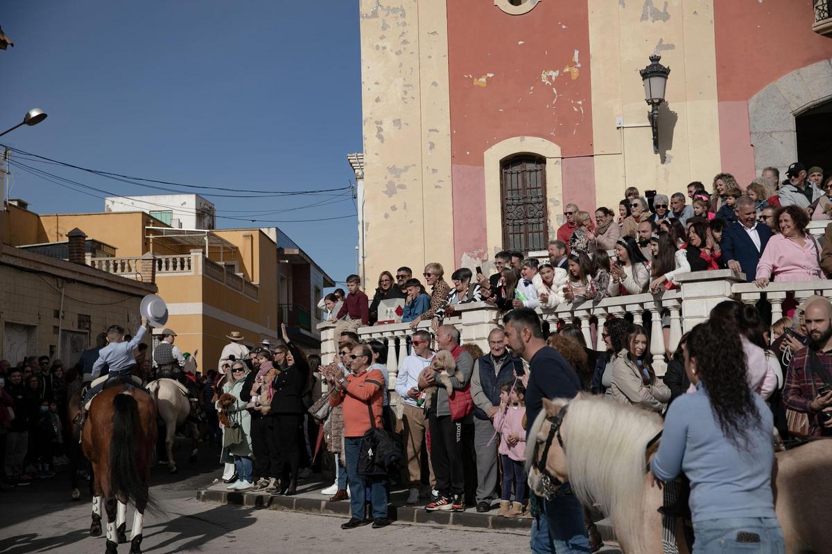 Así ha sido la celebración de San Antón en Cartagena