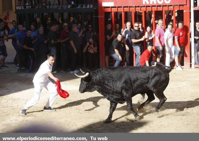 GALERÍA DE FOTOS -- Festejos en honor a Santa Quitèria