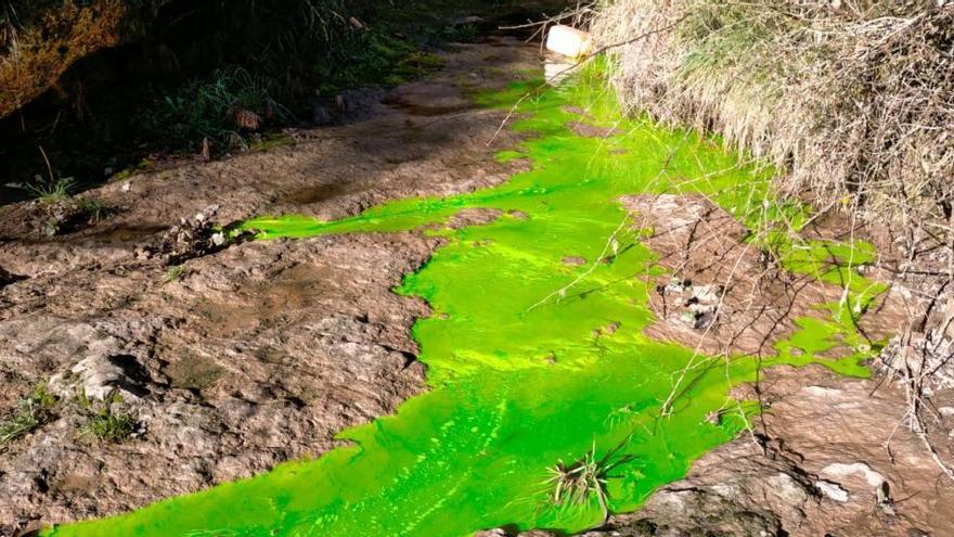 Moià engega un nou estudi per determinar d&#039;on prové l&#039;aigua que inunda les Coves del Toll