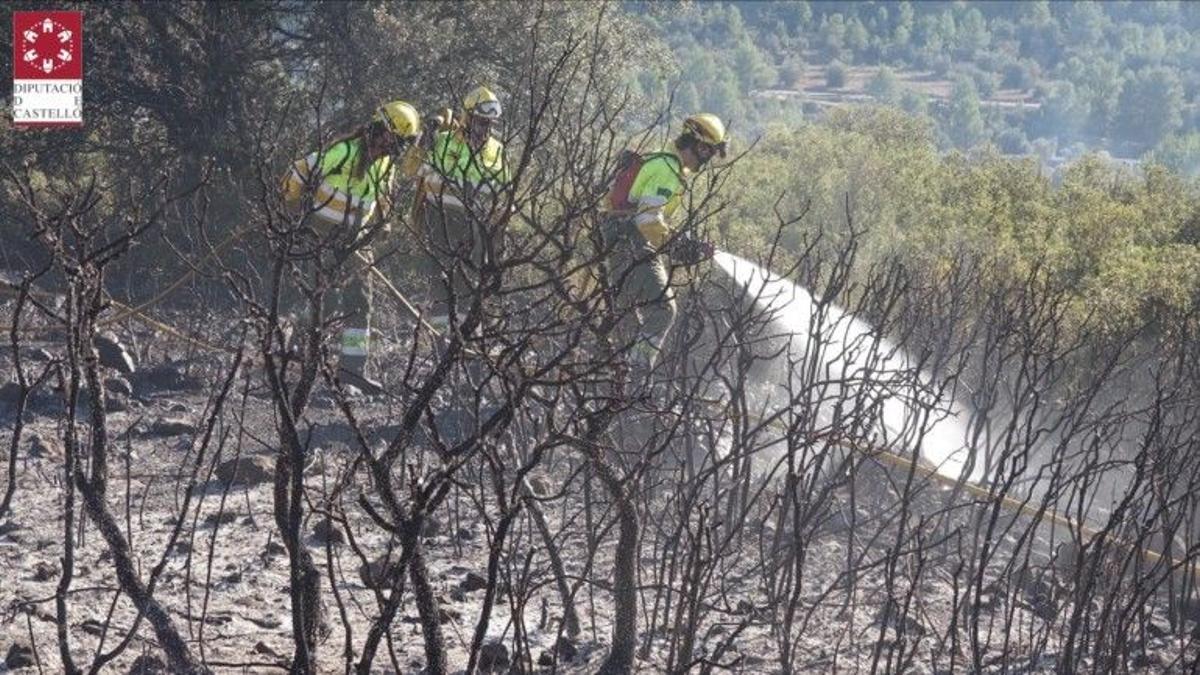 Imagen de un incendio forestal en este municipio en noviembre del 2020, tras ser controlado por los bomberos del Consorcio Provincial.