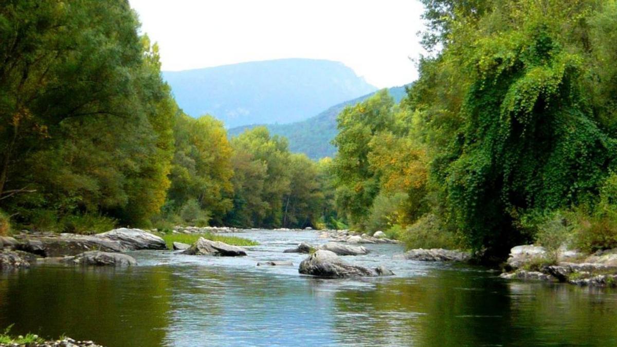 Imatge d’arxiu del riu Segre, on es van trobar els animals. | DIARI DE GIRONA