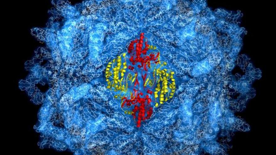 Imagen de los más de cinco millones de átomos de una cápsida vírica, estructura proteica que rodea y encierra el material genético del virus, que tras más de tres años de investigación ha sido captada por un equipo de científicos de la Rice University (EEUU).