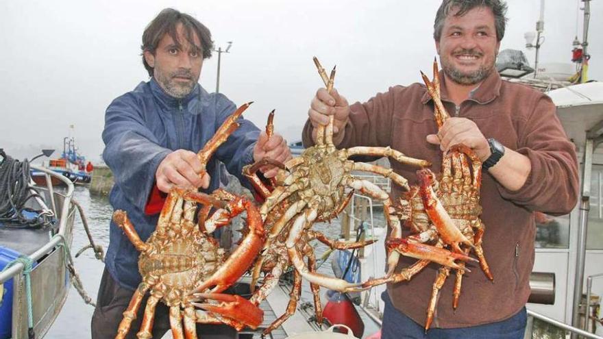 Dos marineros sujetan dos ejemplares de centollo en un puerto gallego. santos álvarez