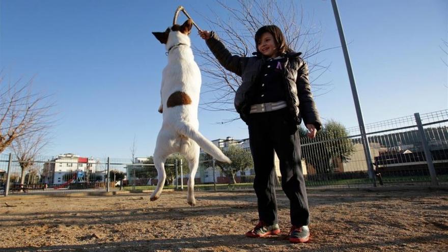 ¿Todo el mundo puede tener perro?