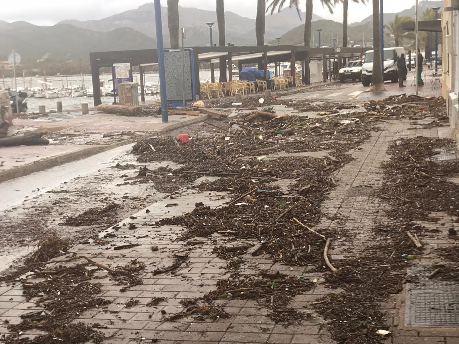 Bella provoca grandes destrozos en el Port d'Andratx