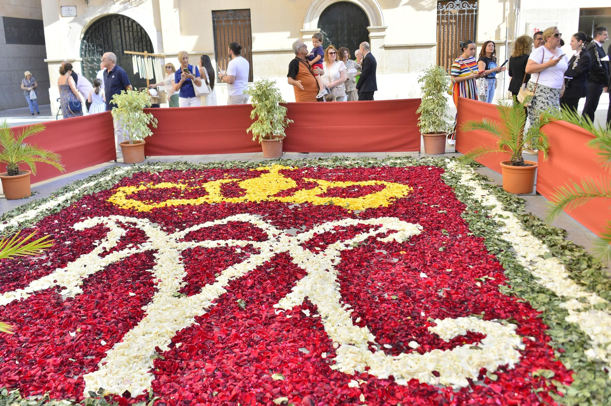 Procesion del Corpus Christi y Altares en Elche