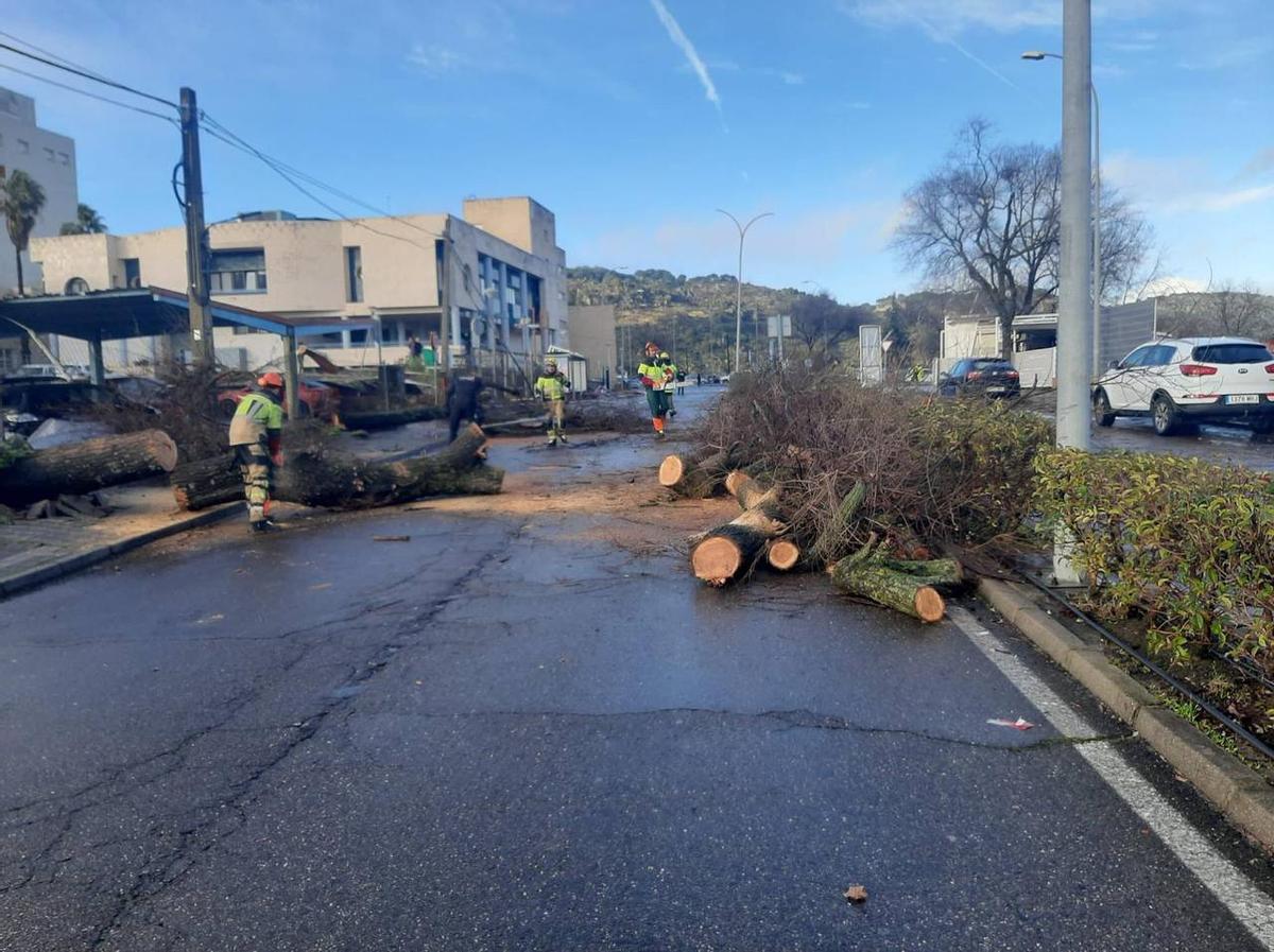 Fotogalería | Un tornado provoca numerosos destrozos en Plasencia Fotogalería | Un tornado provoca numerosos destrozos en Plasencia