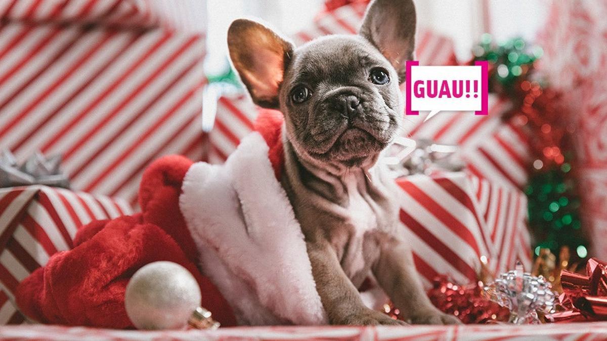 Perrito navideño con bocadillo: &quot;GUAU!!&quot;