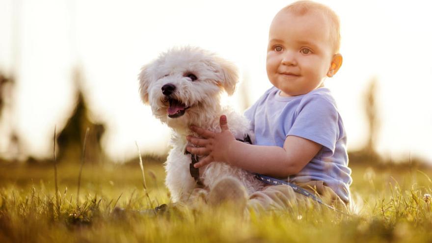 Un bebé jugando con su perrito