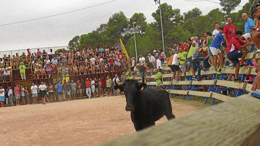 Festejos con tradición