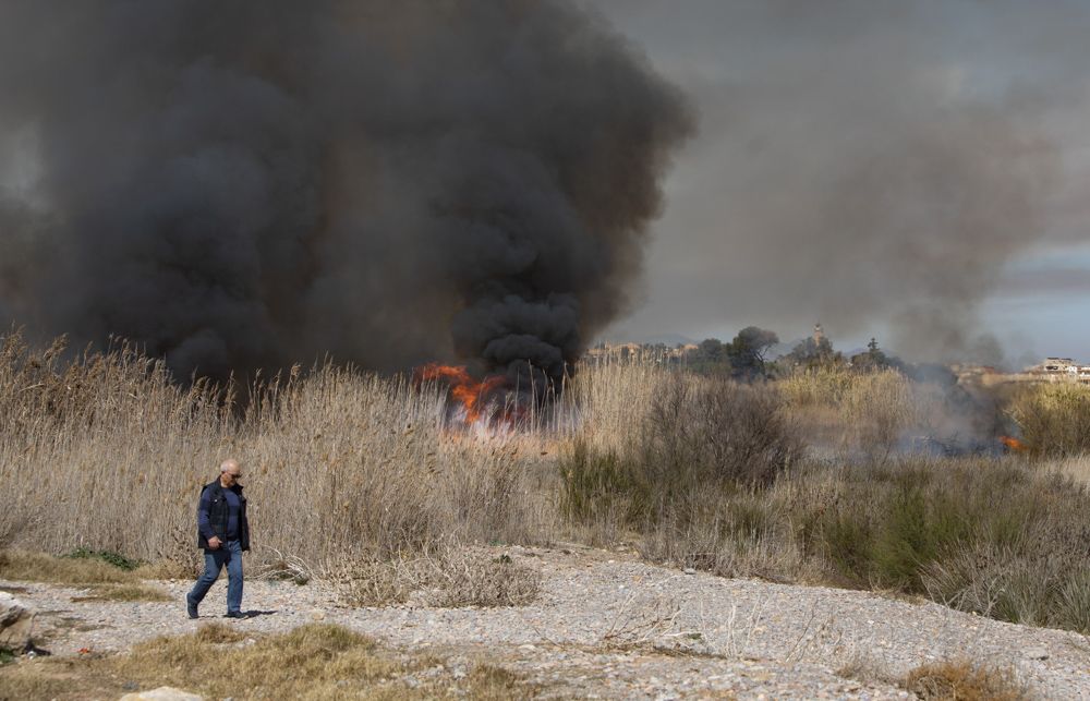 Aparatoso incendio en el delta del Palancia del Port de Sagunt.