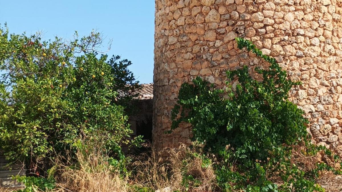 Lugar de sa Pobla donde fue encontrado el jueves el cadáver de un hombre.