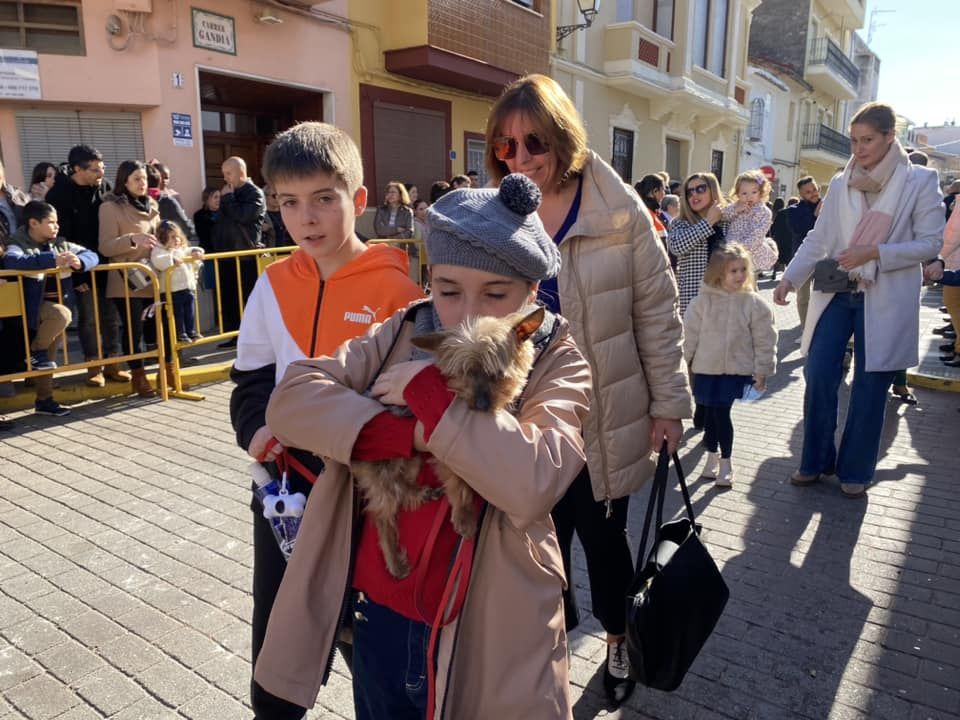 Daimús, Guardamar, Xeraco, l'Alqueria, Piles y Xeraco se vuelcan con Sant Antoni