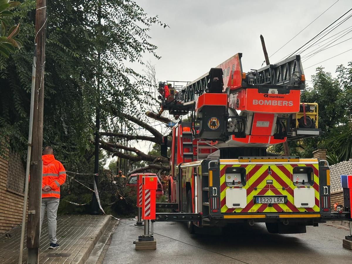 Brigadas forestales de la Diputación, bomberos y operarios municipales han trabajado en la retirada de los árboles.
