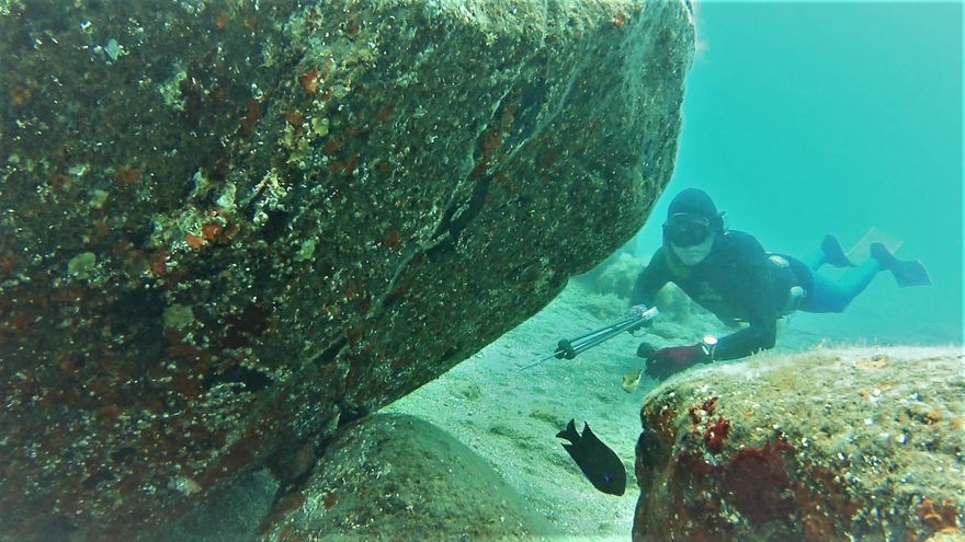 La veda a la captura con fusil revuelve las aguas en la pesca canaria
