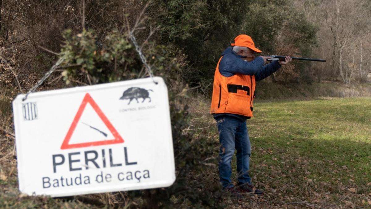 Un caçador durant una batuda per caçar porcs senglars.