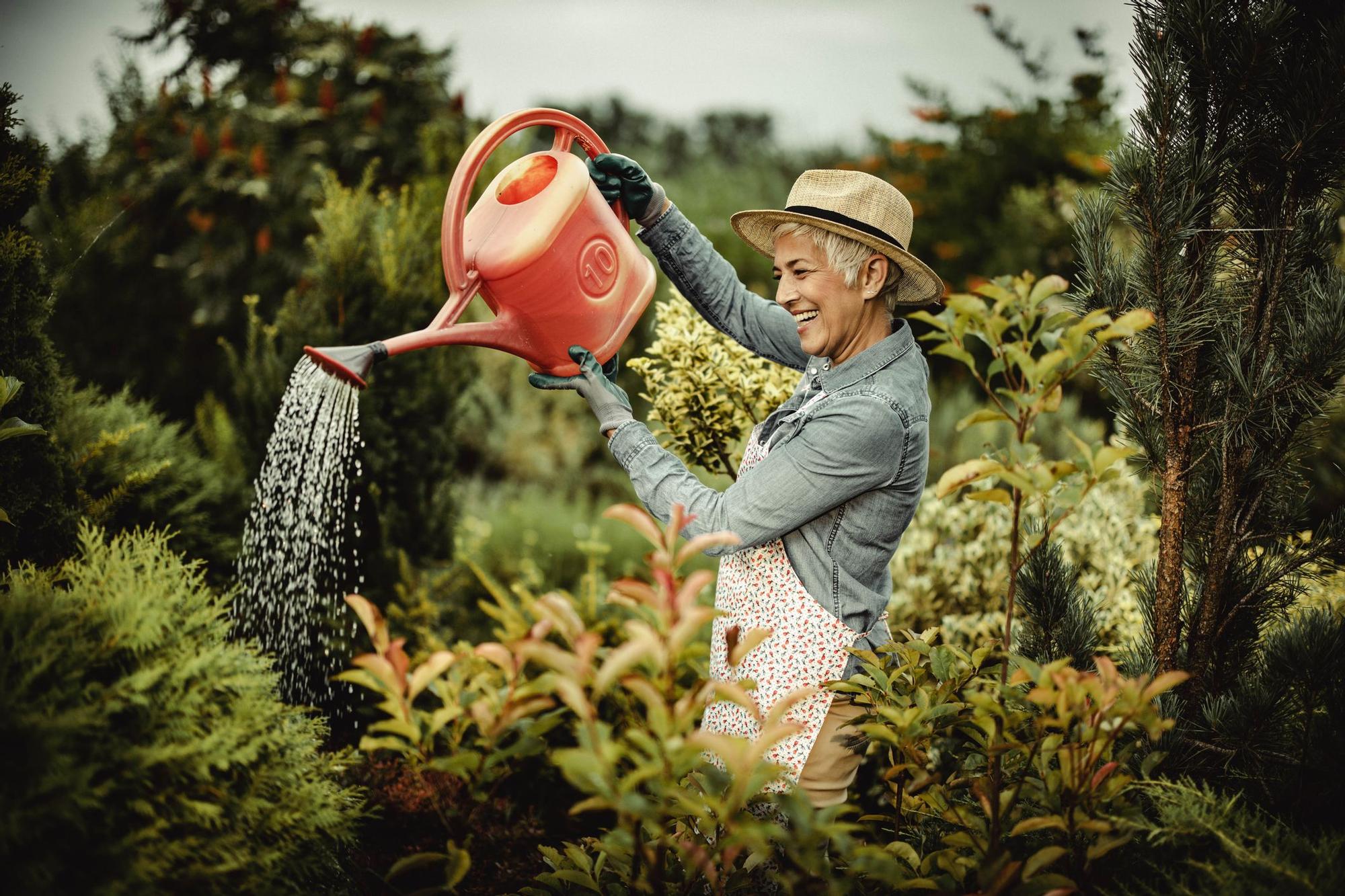 El truco con el que mantendrás con vida tus plantas en verano