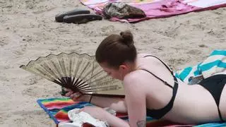 La ola de calor llega a Alicante con noches bochornosas: "Los próximos días irá a peor"