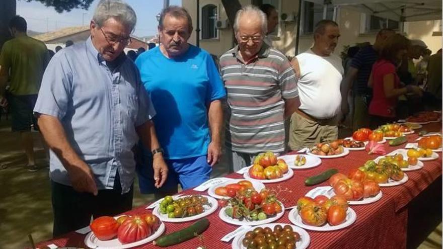 Sot de Ferrer da a conocer las variedades más desconocidas del tomate palantino