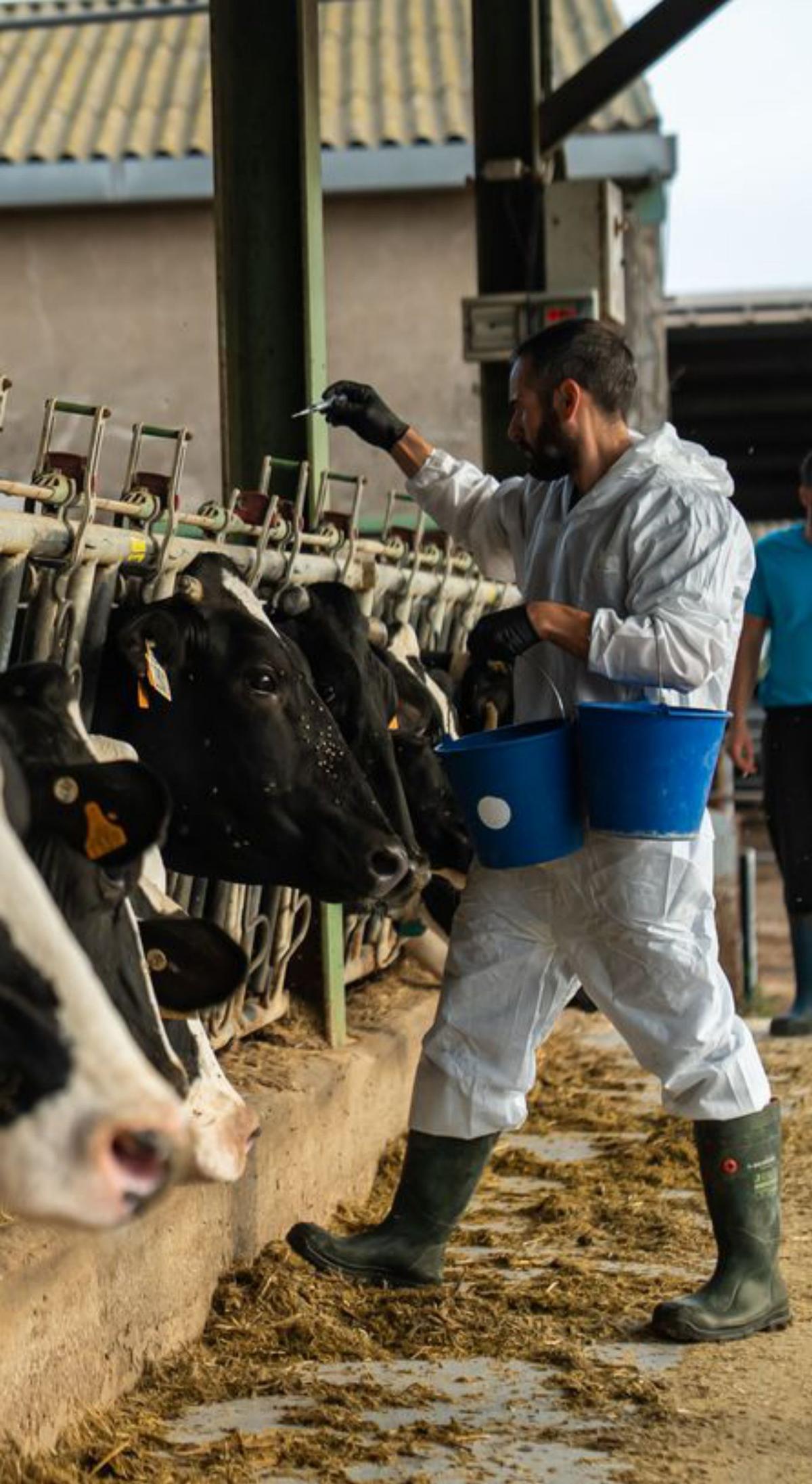 Catalunya ofereix 1.300 noves places de funcionaris