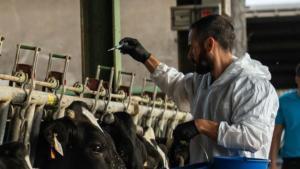 Catalunya ofereix 1.300 noves places de funcionaris