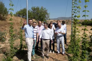 El cultivo del lúpulo se perfila como alternativa en Caravaca