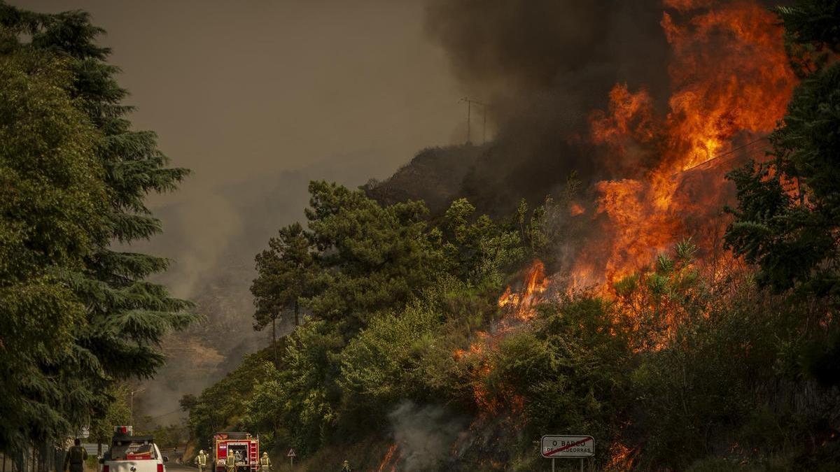 Los científicos advierten sobre los 'bucles' que están retroalimentando la crisis climática.