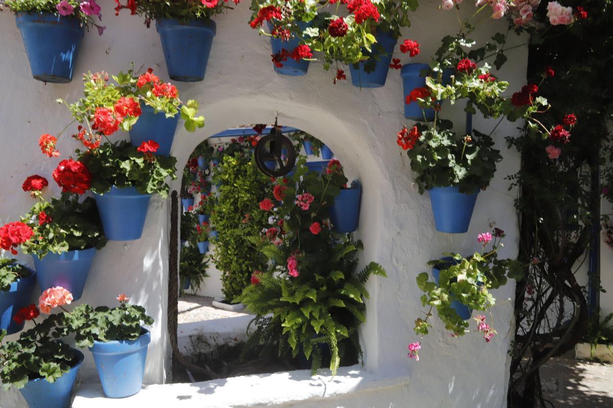 Once recintos institucionales abren sus puertas durante el concurso hasta el 17 de mayo Once recintos institucionales abren sus puertas durante el concurso hasta el 17 de mayo