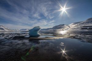 La crisi del clima i de la biodiversitat formen un continu que amplifica l’impacte humà