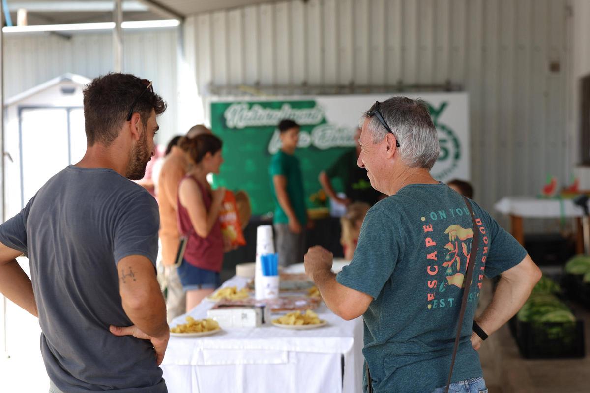 Galería: IX Concurso de Sandías en la cooperativa Agroeivissa Galería: IX Concurso de Sandías en la cooperativa Agroeivissa