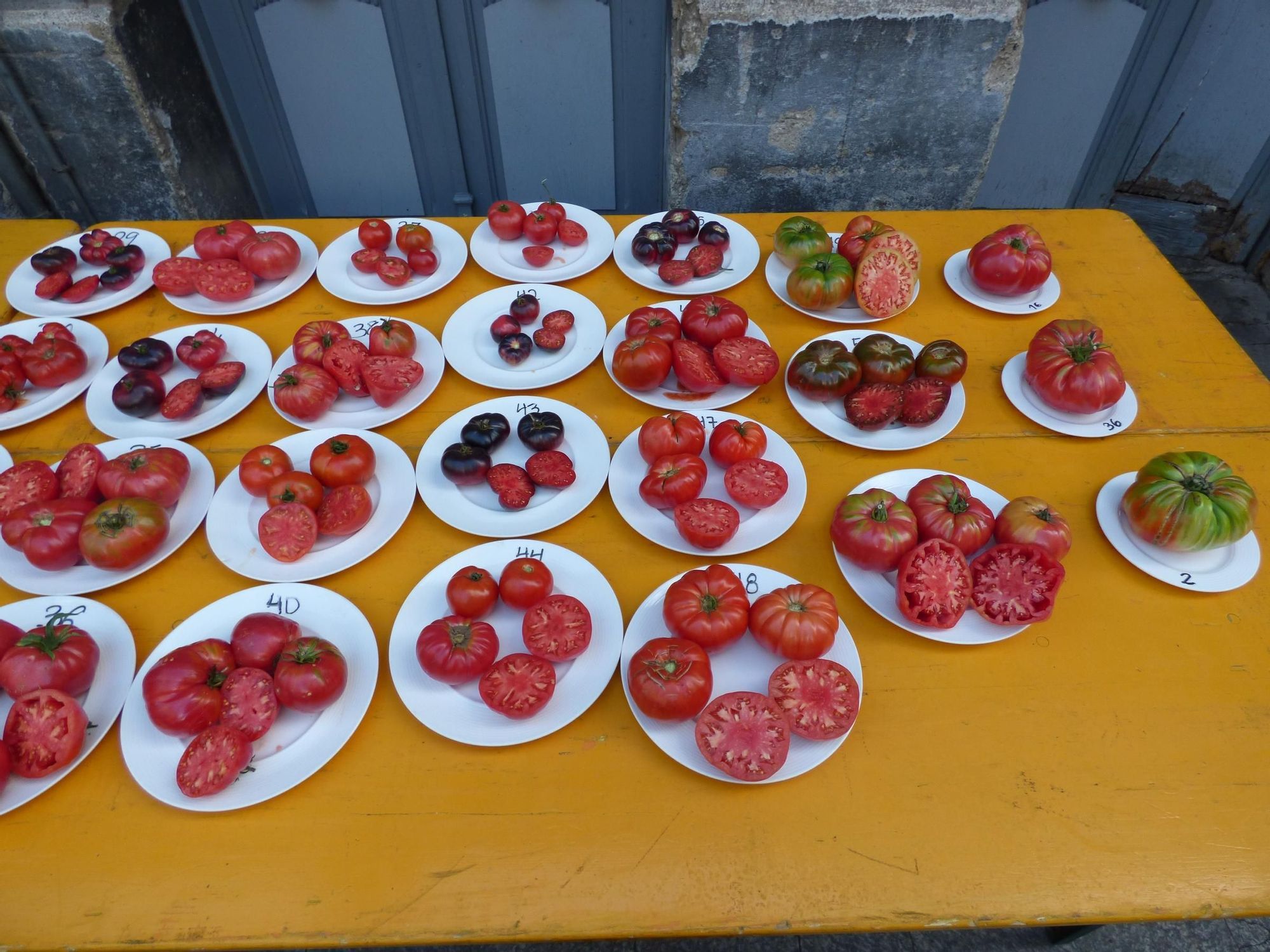 Así fue la elección del mejor tomate de Cangas del Narcea