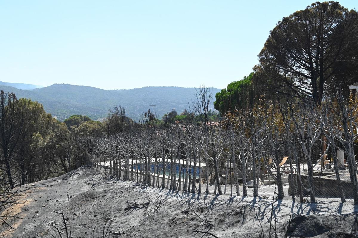 30/07/2026 Zonas calcinadas tras el paso del incendio de la Sierra Oeste de Madrid, a 30 de julio de 2026, en Pelayos de la Presa, Madrid (España). La Comunidad de Madrid ha recuperado el control del operativo contra el incendio forestal de la Sierra Oeste, que ya no tiene focos de llama activa aunque sigue obligando a la evacuación de siete urbanizaciones en las inmediaciones del Pantano de San Juan, donde estará además durante varios días prohibido el paso. SOCIEDAD Jaime Luján Alarcón - Europa Press