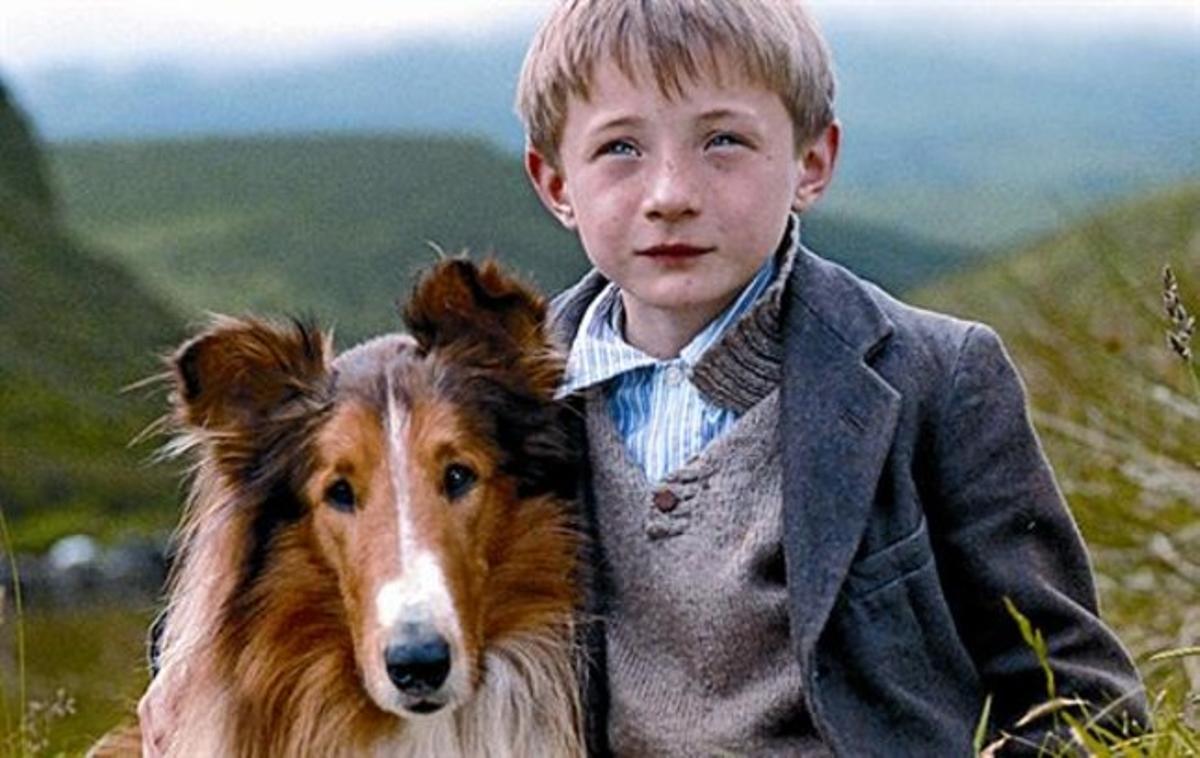 La ’Lassie’ de Charles Sturridge (foto), un altre exemple que es poden fer bones històries amb nen i gos.