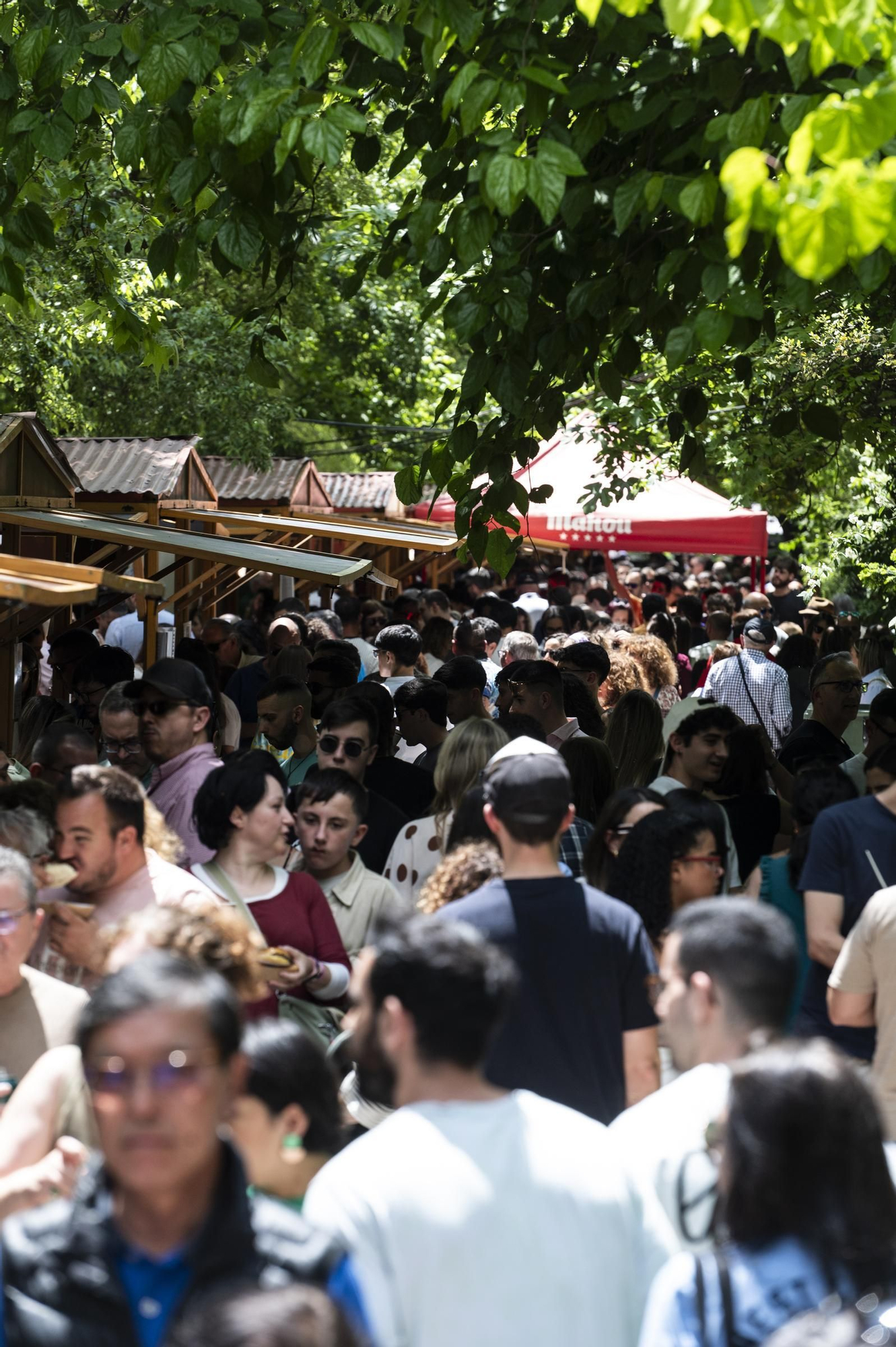FOTOGALERÍA | Búscate en las fotos de Extregusta, este sábado en Cáceres