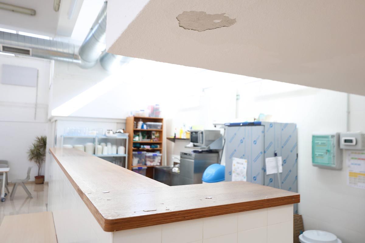 La visita al colegio Can Misses tras las inundaciones, en imágenes