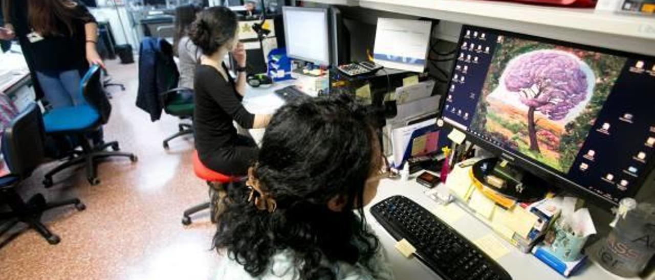 Investigadoras del Instituto de Neurociencias, centro mixto de excelencia de la Universidad Miguel Hernández y el CSIC.