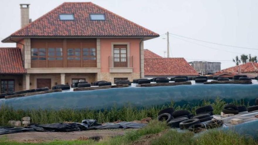 Una de las fincas con ruedas colocadas encima de los silos, ayer, en El Ferrero.