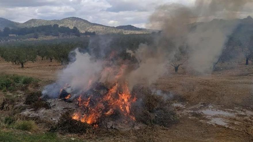 Los agricultores murcianos se enfrentan a multas millonarias por las quemas agrícolas