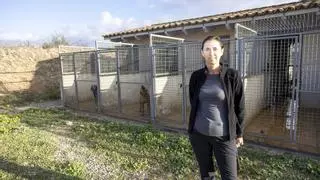 Cinco pitbull muerden a una mujer en Felanitx: «Los perros atacan por miedo, hay que enseñarles a socializar»