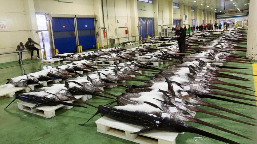 El ínfimo consumo de pez espada expone a la flota de Orpagu a perder 20 millones