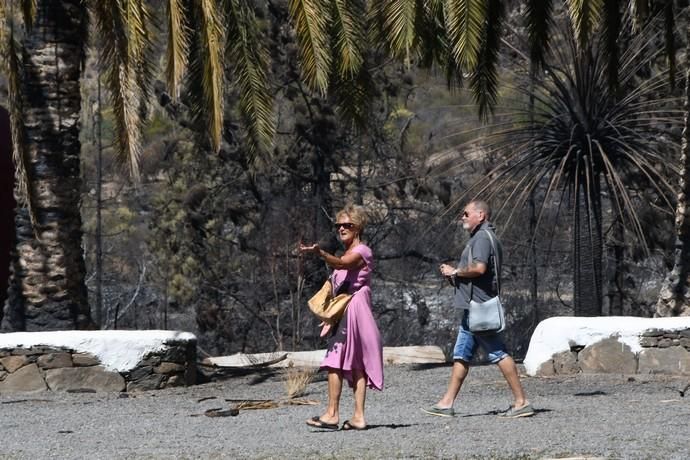 18/03/2019 FATAGA. SAN BARTOLOME DE TIRAJANA.  Incendio en Fataga, en la Finca Rural, Molino de Agua. Fotografa: YAIZA SOCORRO.  | 18/03/2019 | Fotógrafo: Yaiza Socorro