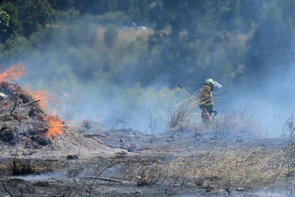 Un fuego quema 2.000 m2 al lado del Parque de Bomberos //G.N.