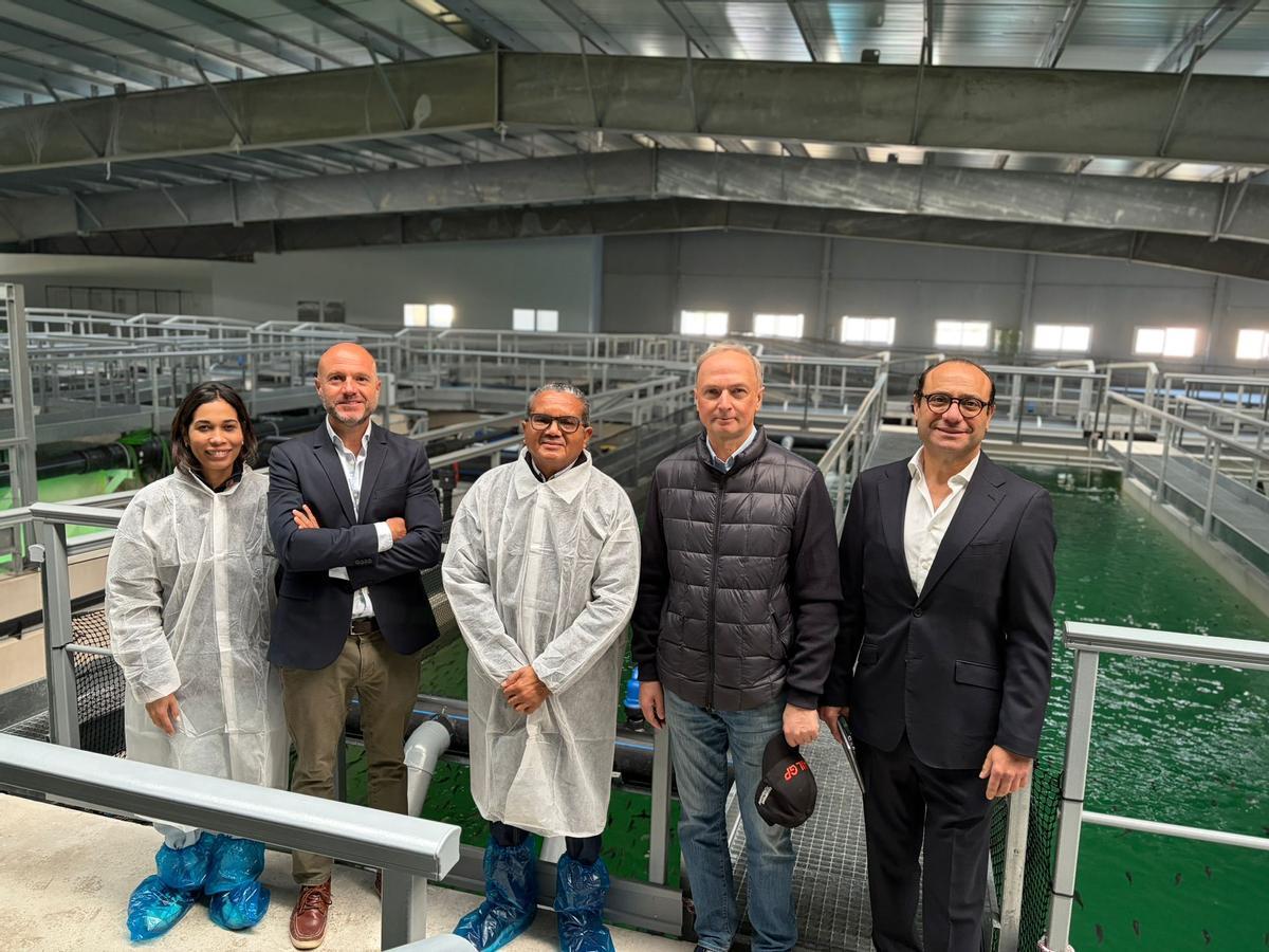 La delegación dominicana con responsables de Aquaculture en la piscifactoría alicantina.