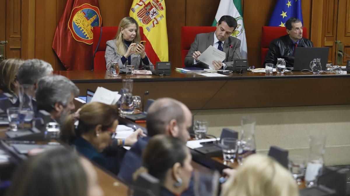 Un momento del Pleno de este jueves en el Ayuntamiento de Córdoba.